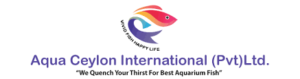 Aqua Ceylon